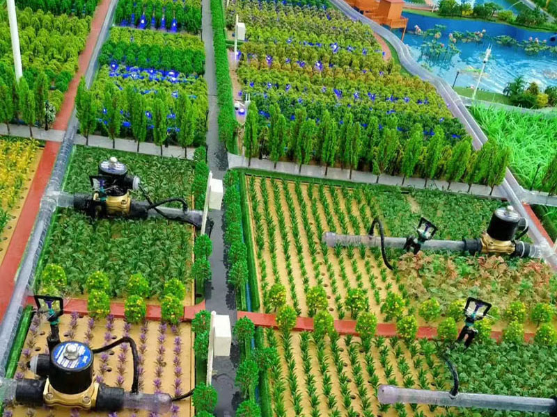 1728977252150037.jpg 農(nóng)業(yè).jpg